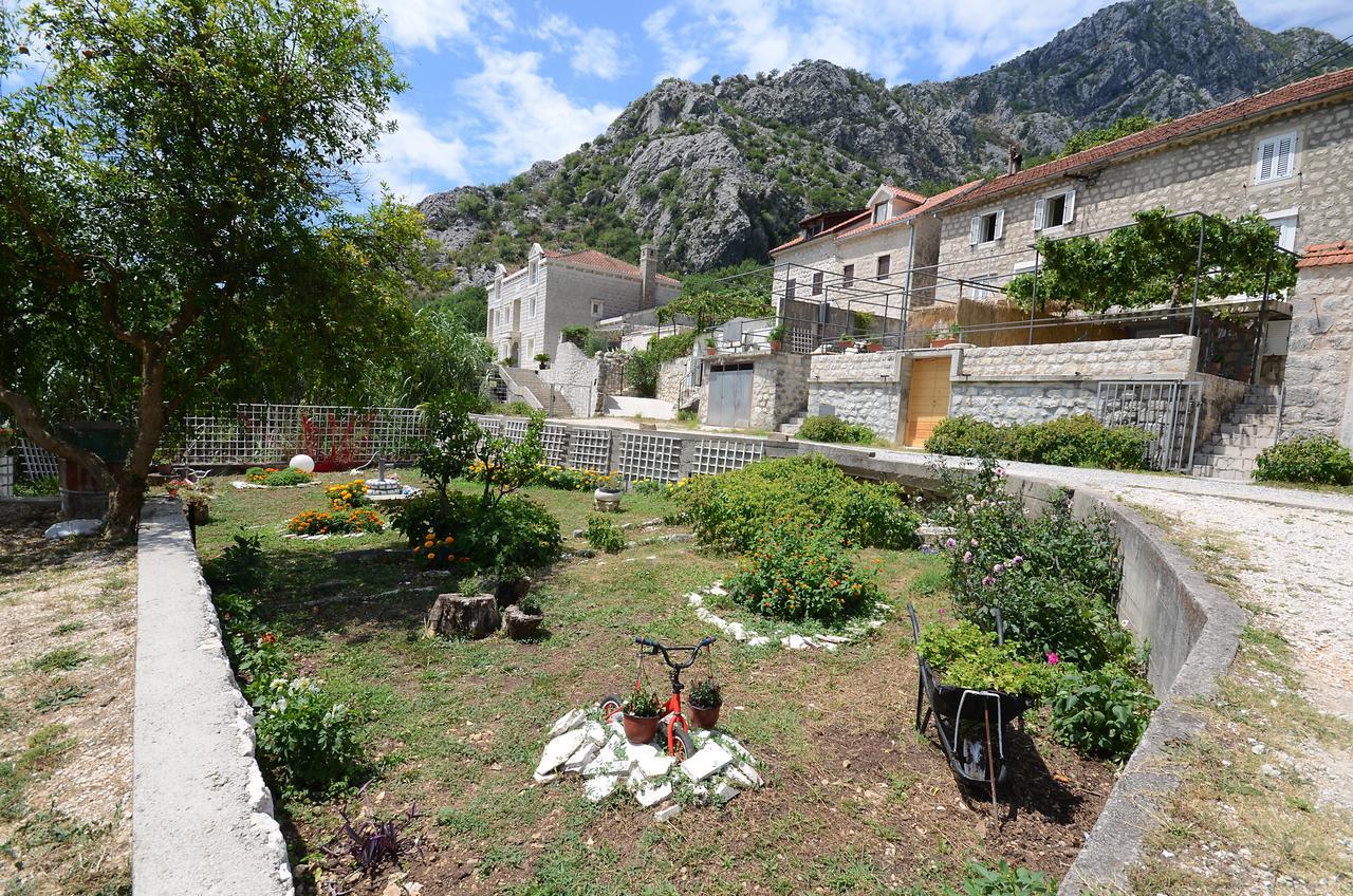 Daire Stone House Dragutinovic *